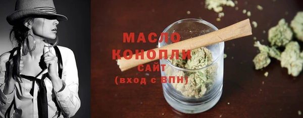 тгк Гусь-Хрустальный