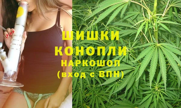 тгк Гусь-Хрустальный