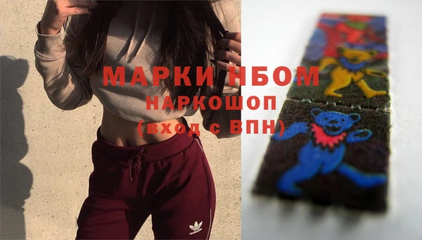 тгк Гусь-Хрустальный