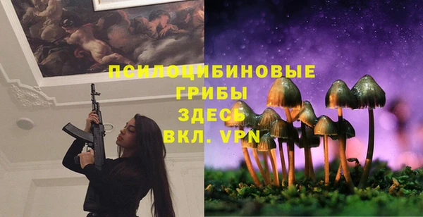 тгк Гусь-Хрустальный