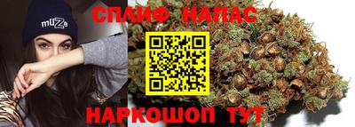скорость Гагарин