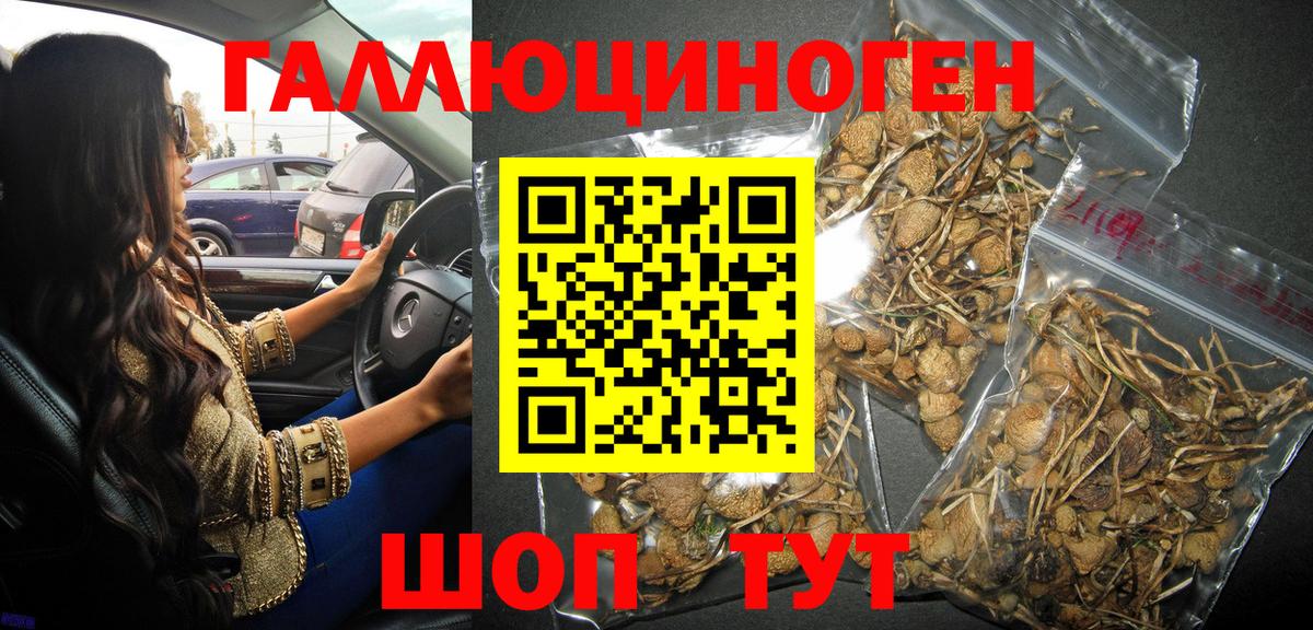 Галлюциногенные грибы мицелий  Вход с VPN  Железноводск 