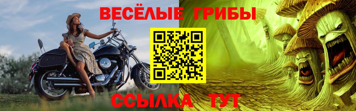 Псилоцибиновые грибы ЛСД Железноводск