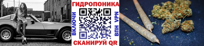 Канабис семена где купить наркотик Железноводск