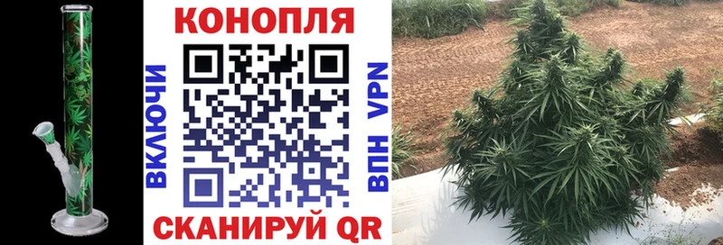 Марихуана семена Железноводск